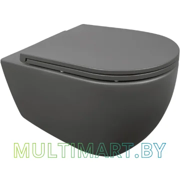 Унитаз Isvea Infinity 10NF02001